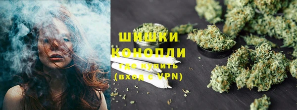 шишки Бронницы