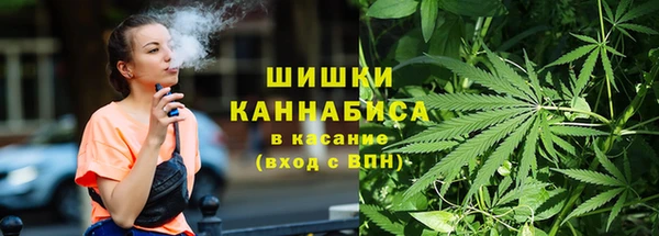 молекула духа Верхний Тагил