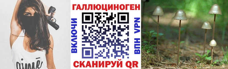 Купить  Кочубеевское  Псилоцибиновые грибы MAGIC MUSHROOMS 